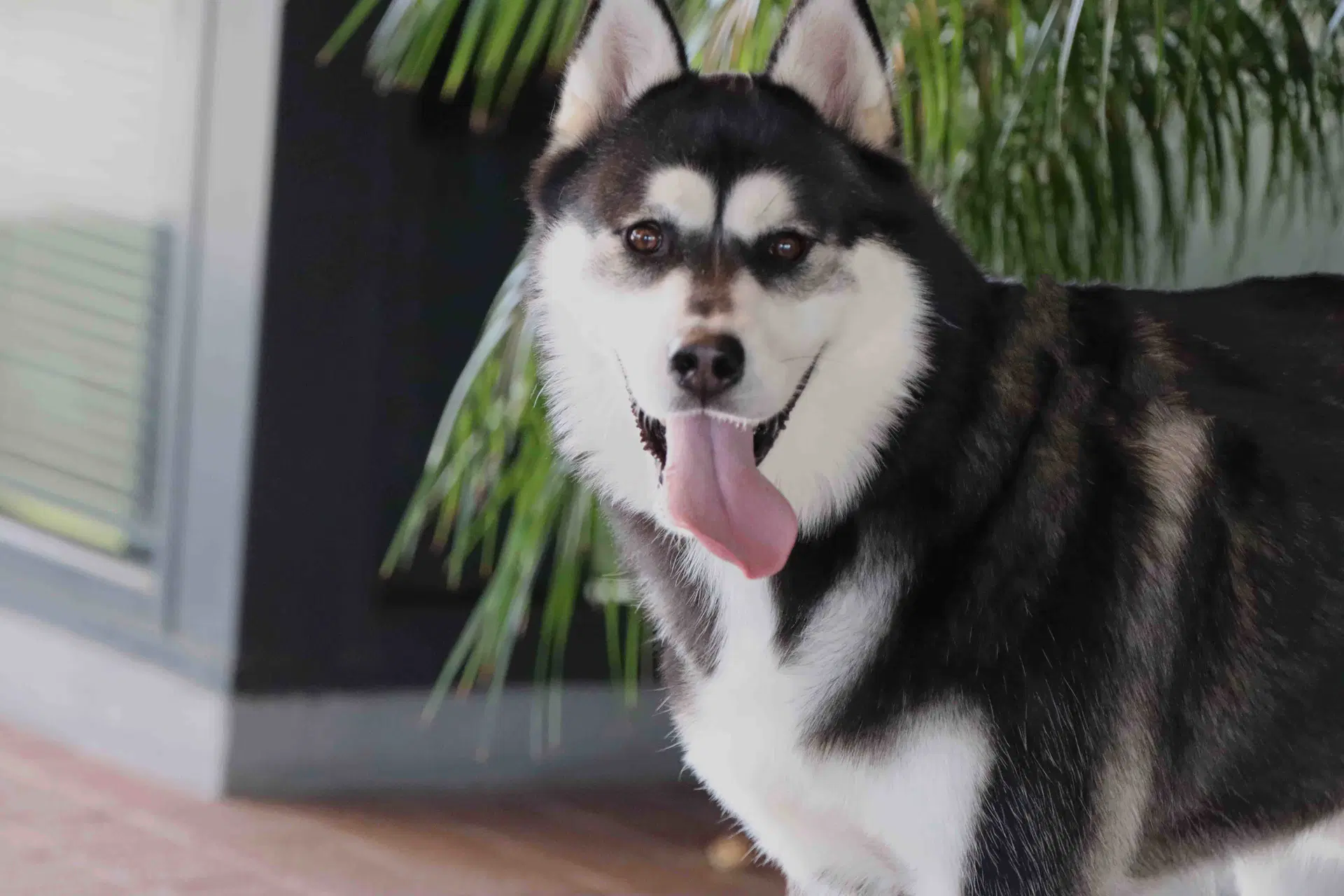 Max image 3