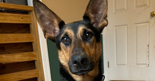 Berkley