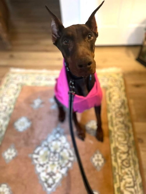 Freya
