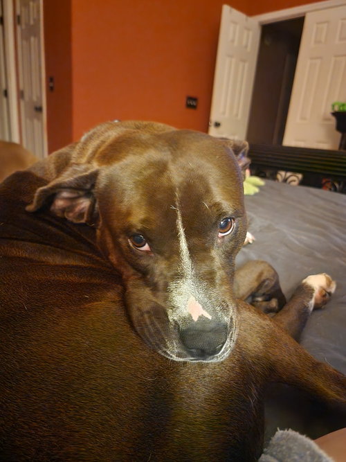 Winnie