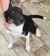 Xena - Photo 2
