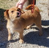 Cooper - Photo 1