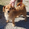 Cooper - Photo 2