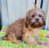 Rolo - Photo 2
