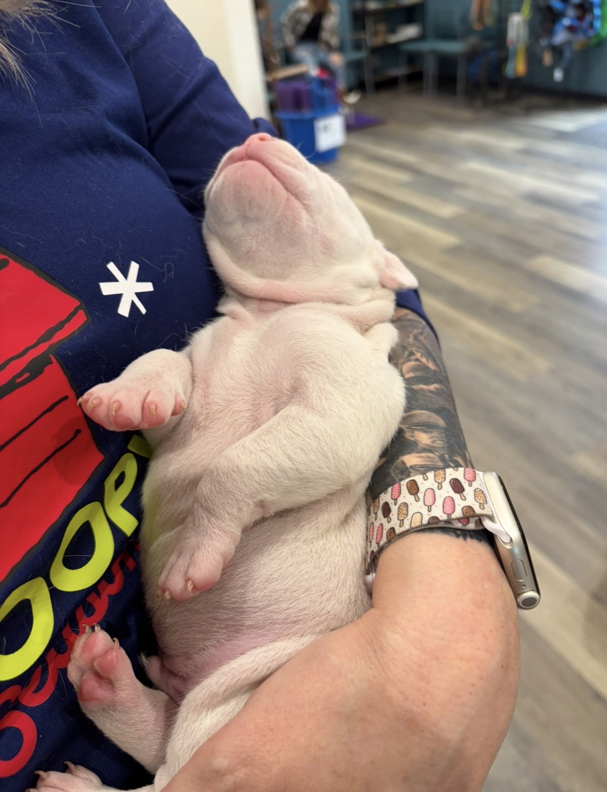 Casper