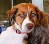Bernadette - Photo 2