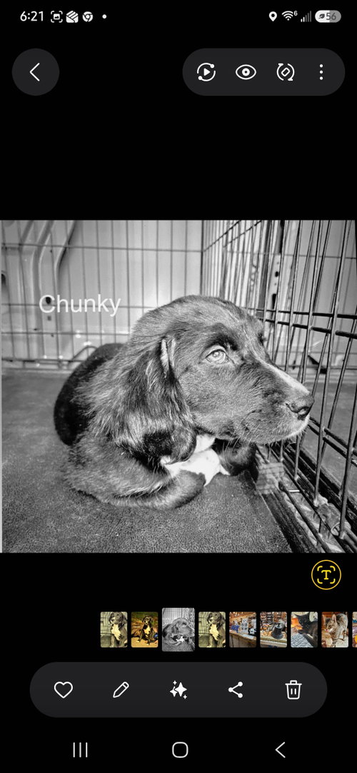 Chunkie photo 2