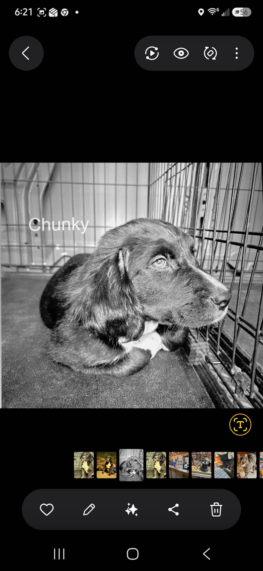 Chunkie