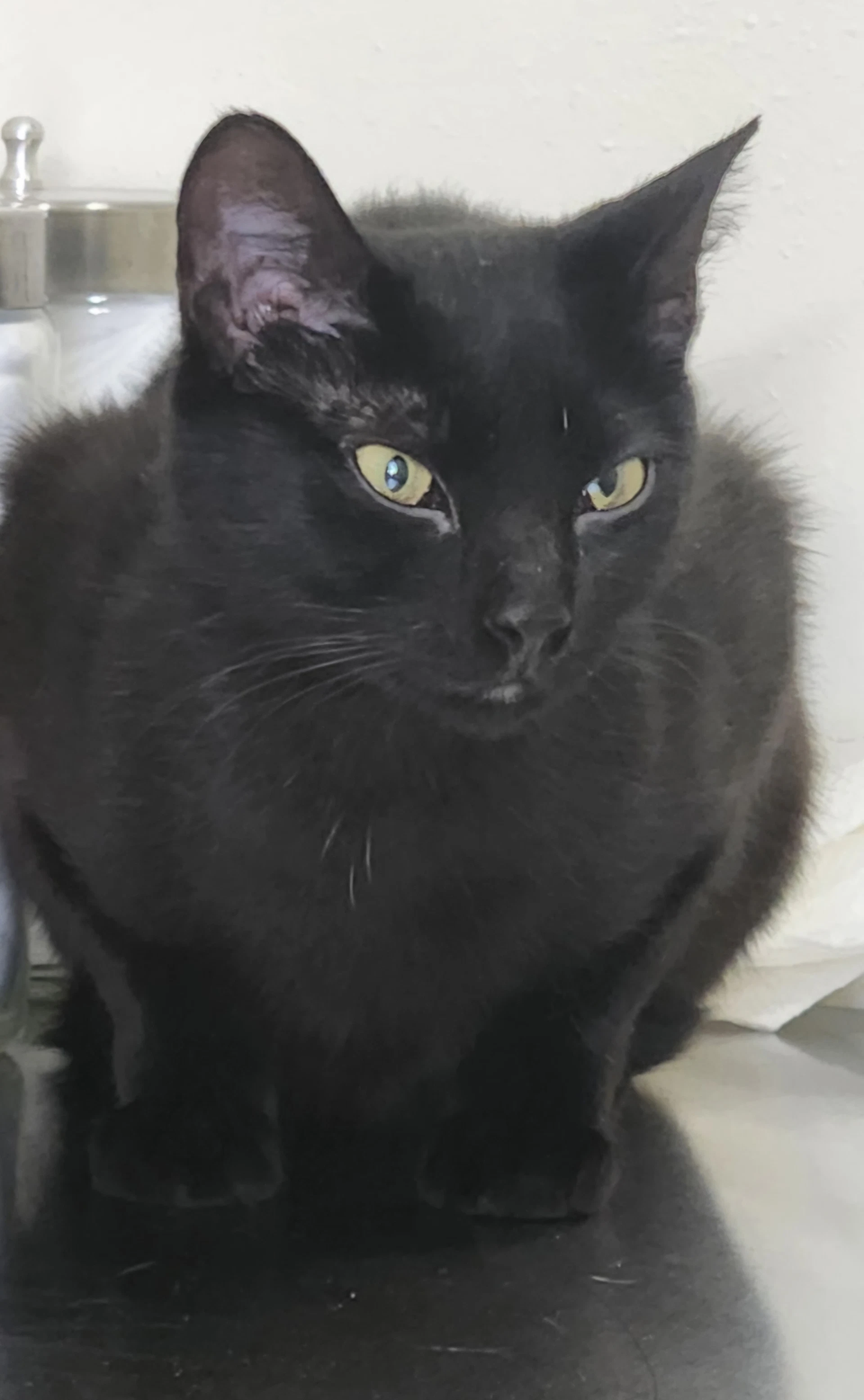 Mia