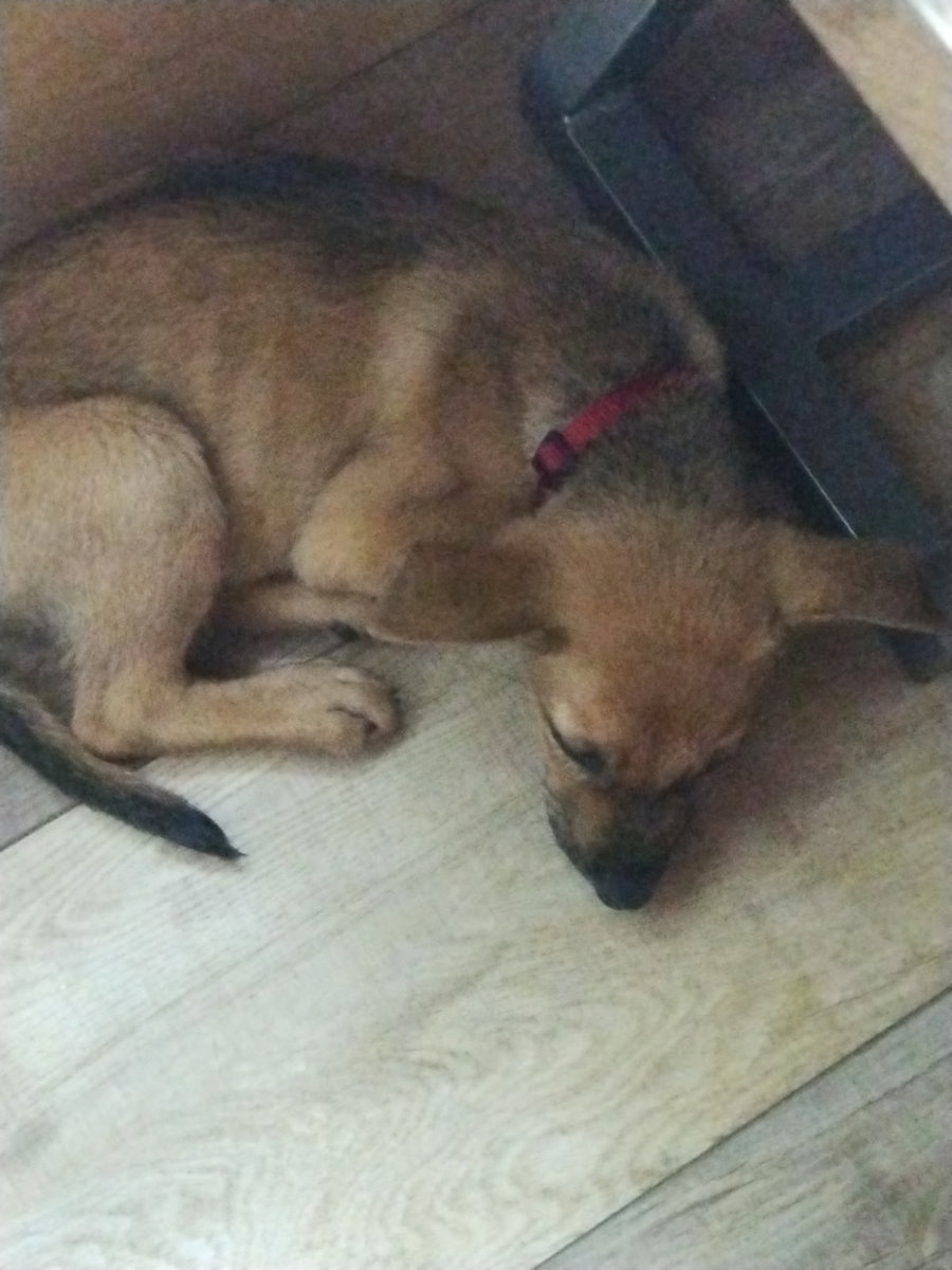 Romeo