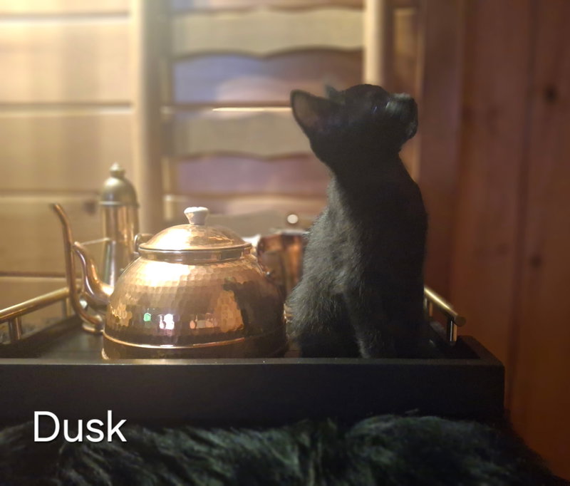 Dusk, photo 6