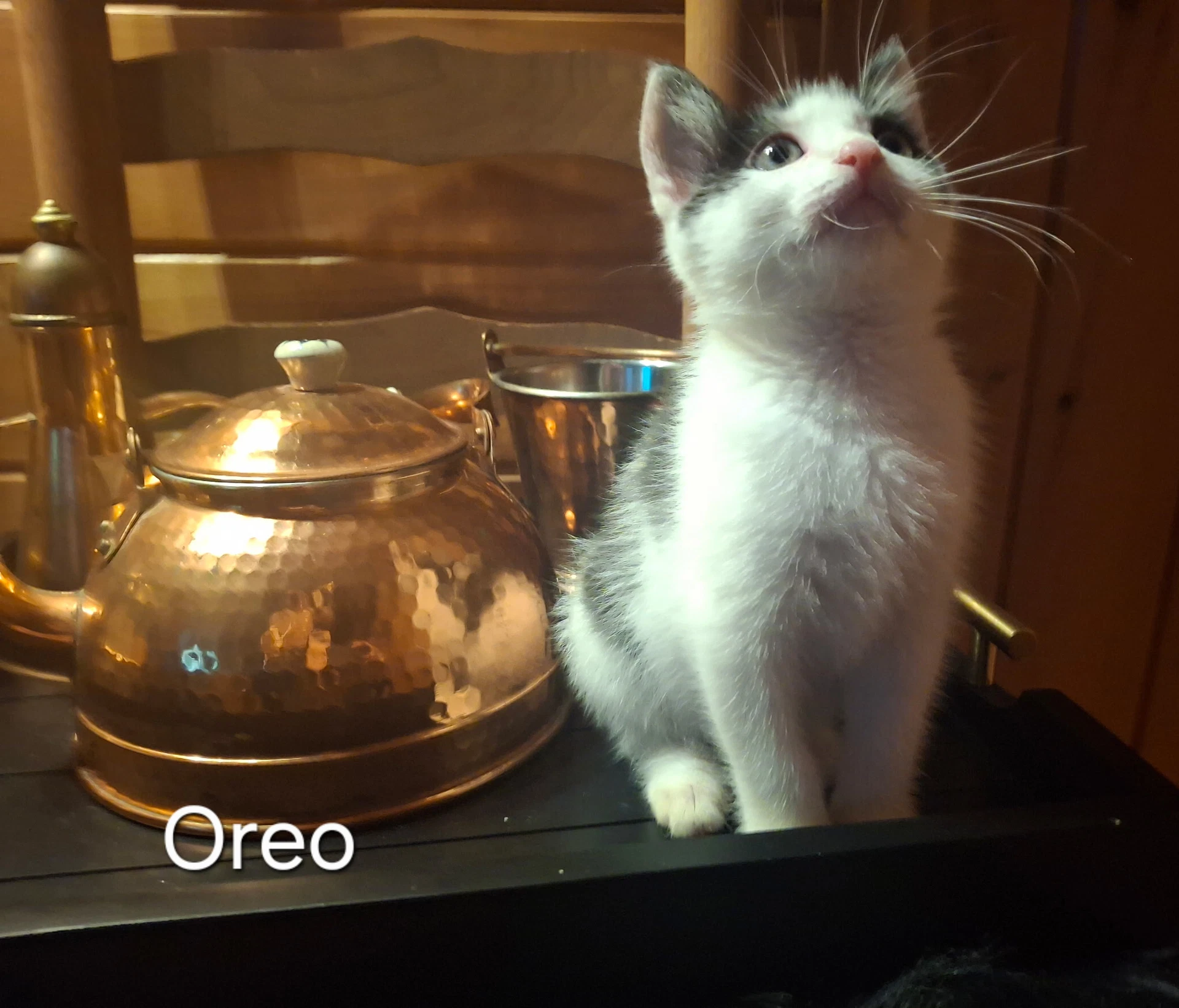 Oreo