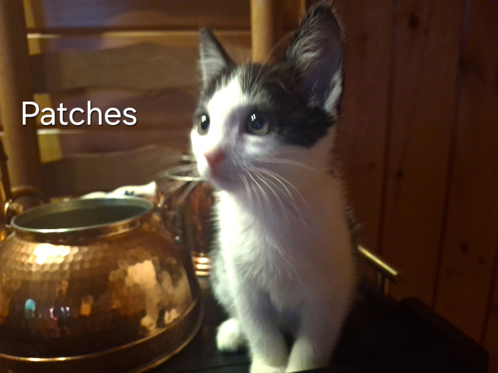 Patches