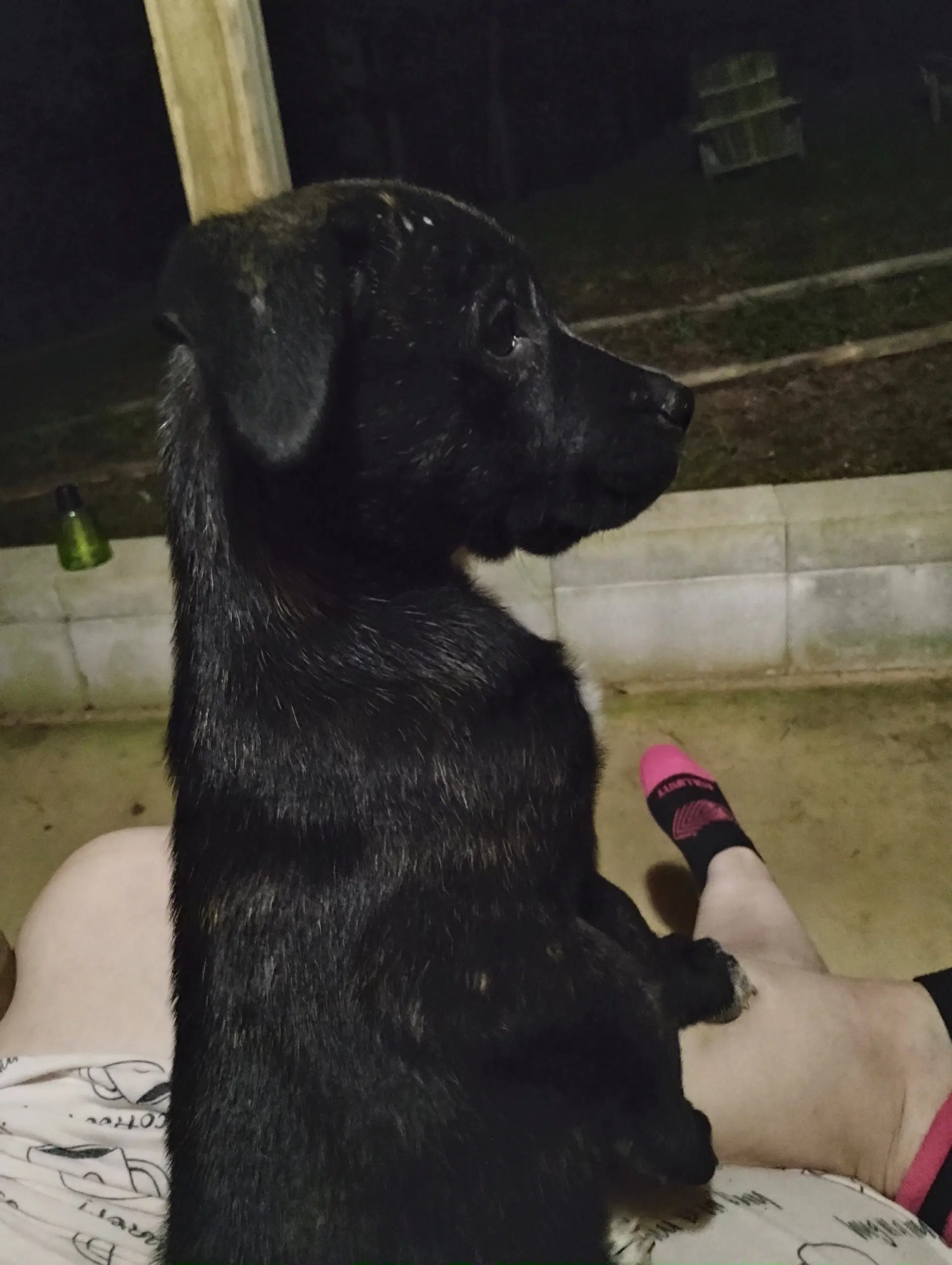Max image 2