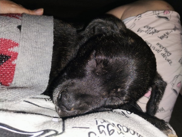 Max