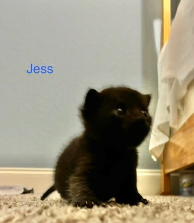 Jess