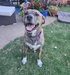 Chloe - Photo 3
