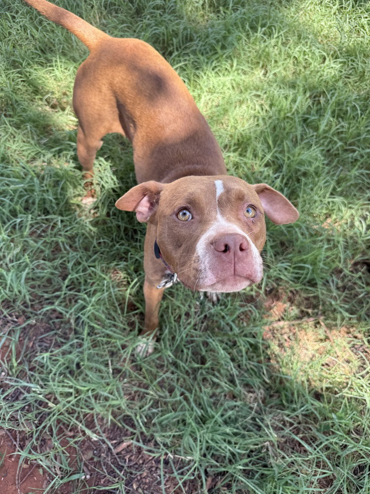 Coco