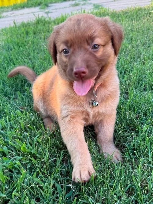 Clementine photo 2