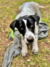 Bandito - Photo 2