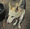 Luka - Photo 3