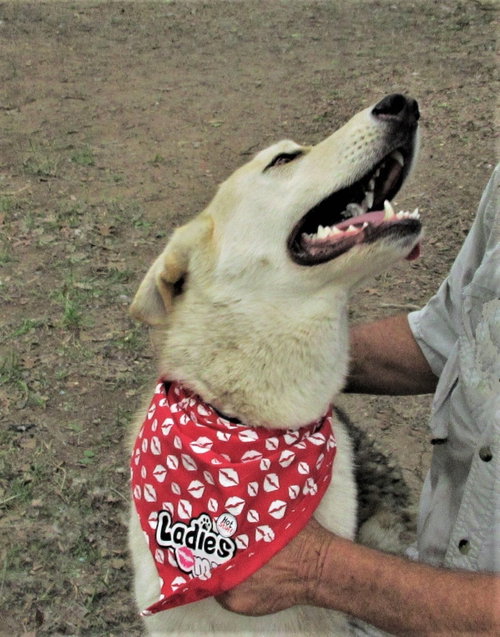 Luka photo 6