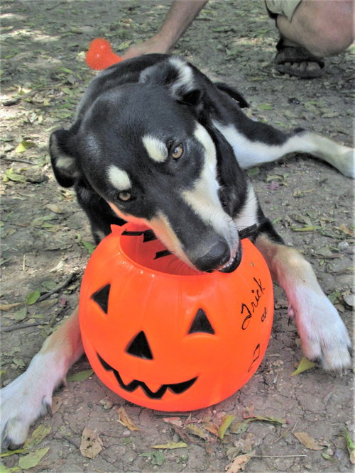 Gracey photo 5