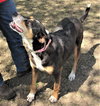 Rosemary - Photo 2