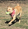 Sprite - Photo 3
