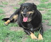 Jed - Photo 2