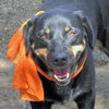 Jed - Photo 4