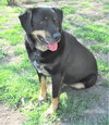 Jed - Photo 5
