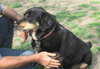 Jed - Photo 6