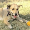 Ellie - Photo 1