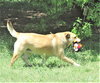 Ellie - Photo 4
