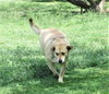 Ellie - Photo 5