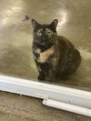 Matilda