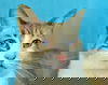 Jax