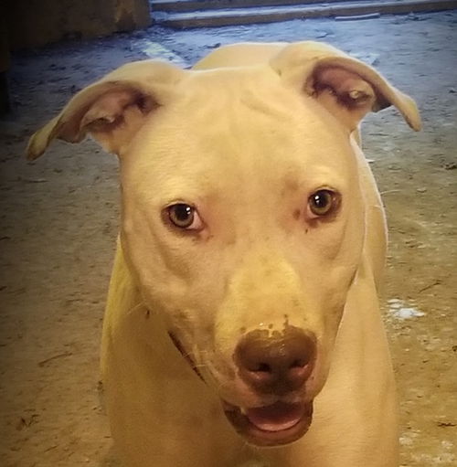 Hope- Female
