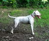 Hope- Female