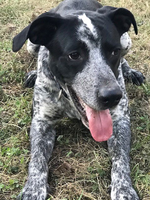 Max