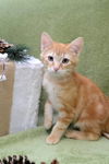 Charlie