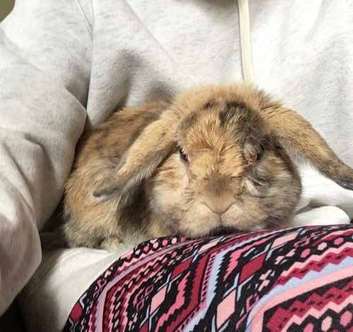 Charlie