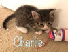 Charlie