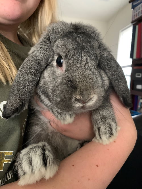 Thumper