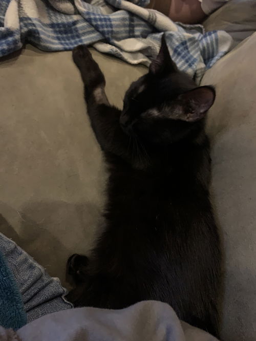 Oona