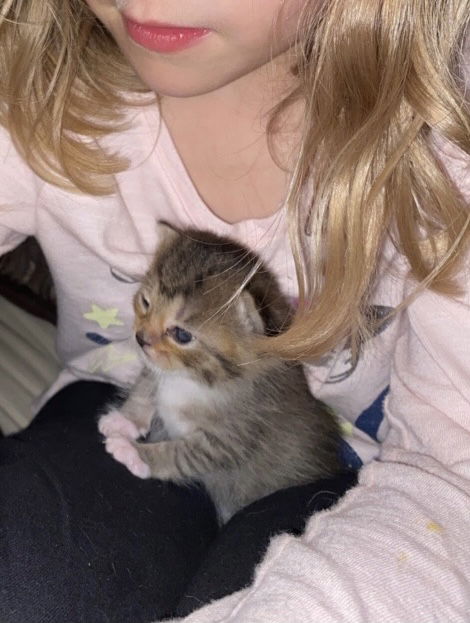 Nyla