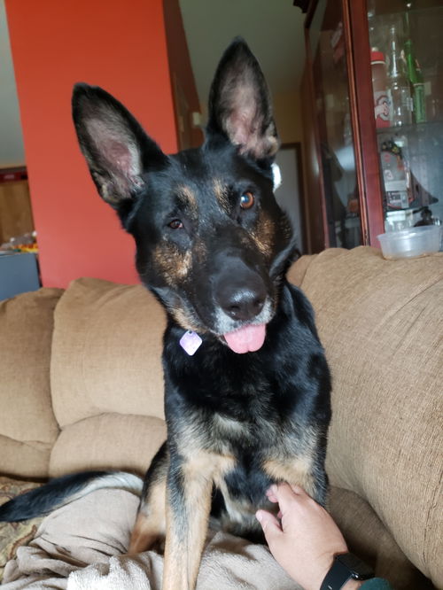 Kira