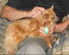 Jasper
