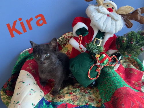 Kira
